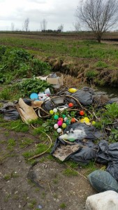 Sezze, rifiuti in pianura (1)