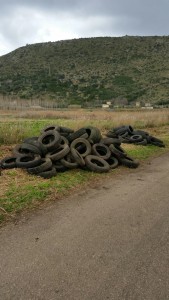 Sezze, rifiuti in pianura (4)