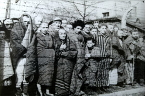 Auschwitz_Liberated_January_1945 (1)