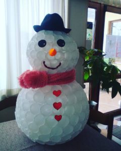 15741119_1845272812396817_1862504971347221843_n (1)