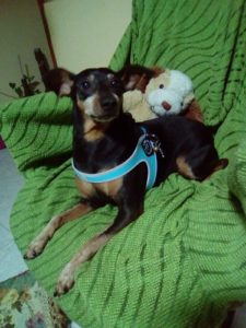 facebook_1493715542656