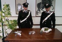 La droga sequestrata dai carabinieri di Terracina e Fondi il 26 ottobre 2015