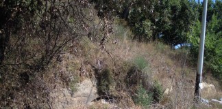 Aprilia, Fossignano Urban, il restyling della periferia nord accedere al maxi fondo nazionale del bando firmato da Renzo Piano