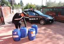 Faceva il pieno e fuggiva, arrestato il ladro di carburante. Sette colpi tra Aprilia e i Castelli.