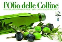 Sonnino premia i produttori d’olio extra vergine di oliva itrana. Al via il concorso “Il Principe dell’Olio”