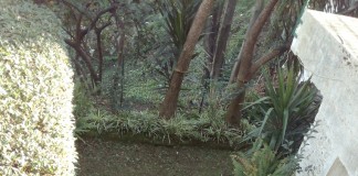 Sezze, cade da un muretto fin sotto alle scale, 82enne ricoverato al Goretti