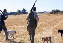ATC Latina 1 nel caos: ancora nessun presidente, stagione venatoria a rischio