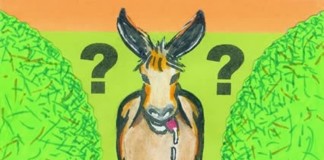 A Sabaudia l’asino di Buridano: impasse del Consiglio comunale. I “fratelli” impegnati a Latina