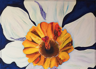 Terracina, il MAD presenta la mostra di Antonella d’Auria