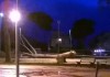 Maltempo, alberi sradicati a Latina e Terracina