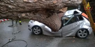 Ardea, albero si abbatte su un’auto: due fratelli morti, ferita un’infermiera