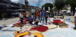 Aprilia, al via la prima Infiorata della città