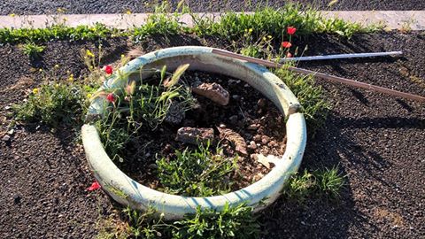 13151612_1679302548996810_7405966519767411735_n