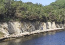 Sabaudia, ponticello sul canale romano: scattano le indagini della Forestale