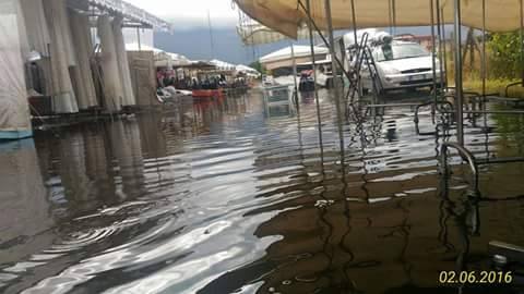 13318864_10208584597285575_2030187156_n