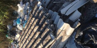 Pontinia, rifiuti e prostituzione a Mazzocchio. Torelli: subito la bonifica e le ordinanze