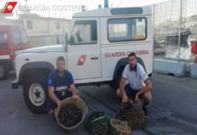 Gaeta, sequestrato un quintale di cozze al petrolio. Il blitz della Capitaneria di porto