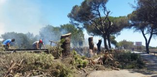 Pontina chiusa per incendi, Astral invita gli utenti a scaricare l’app per seguire gli aggiornamenti. E piovono critiche su Raggi
