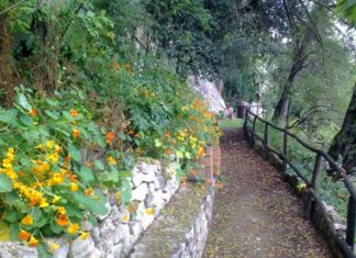 Terracina, il Wwf inaugura la settimana del mare