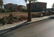 Sabaudia, resti di potatura sul marciapiede da una settimana