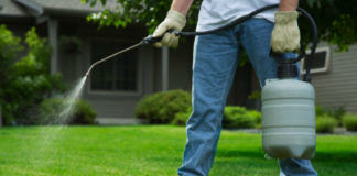 Pesticidi e fitofarmaci, da Sabaudia appello ai sindaci del Parco per limitarne l’uso nelle aree urbane