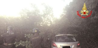Sabaudia, albero cade e si abbatte su un’auto. Conducente sotto choc
