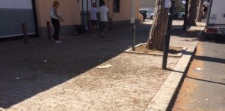 Sabaudia, invasione di colombi a San Donato: marciapiedi impraticabili, igiene a rischio