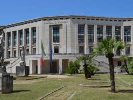 Precipita dall'ottavo piano