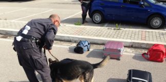 Fondi, sequestrato un chilo di droga: 54enne arrestato dalla Finanza