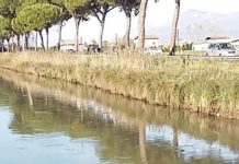 Il fiume Linea si fa verde, allarme tra Latina, Sezze e Pontinia