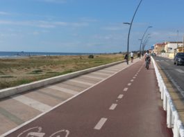 mare