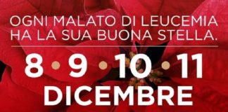 Latina, tornano le Stelle di Natale dell’Ail per sostenere la ricerca: La #buonastella sei tu