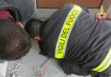 Minturno, vigili del fuoco liberano cagnolino intrappolato. Il video