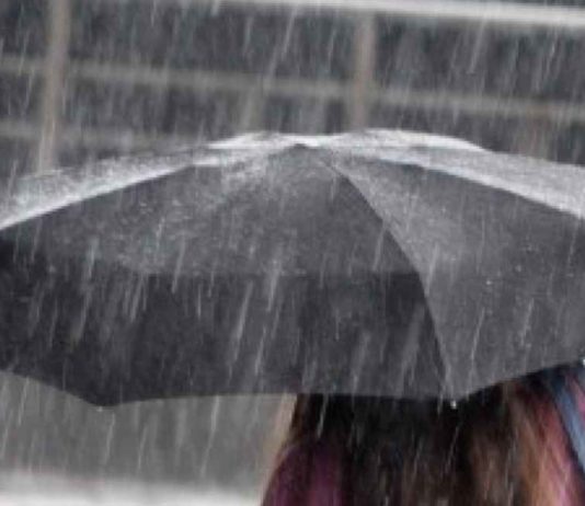 allerta meteo