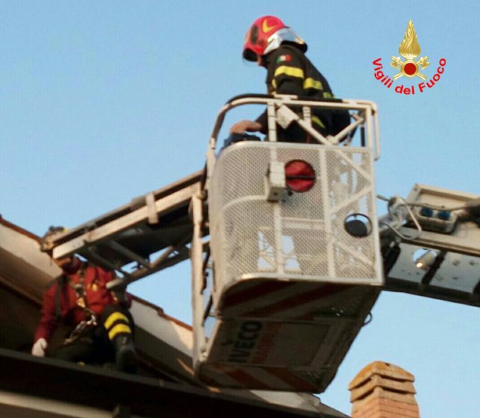 WhatsApp Image 2017-03-13 at 19.53.50