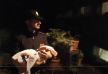 Bimba venduta a Latina, ritrovata dalla Polizia e consegnata alle suore. Il video