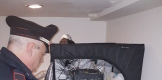 Gaeta, coltivazione di marijuana in casa: arrestata una donna di 37 anni