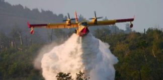 Formia, manda in fiamme 50 ettari di macchia: denunciato dai carabinieri forestali di Spigno Saturnia