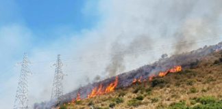 Nel Lazio incendi boschivi aumentati del 400%. Zingaretti scrive ai prefetti