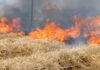 Brucia sterpaglie e manda in fiamme 2 ettari, 80enne denunciato a Cori