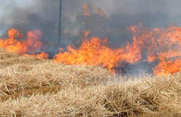 incendio-sterpaglie