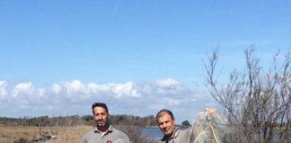 Latina, sequestrata rete da pesca illegale nascosta su sponde lago dei Monaci