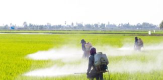 L’accordo commerciale Canada-Ue divide Latina Bene Comune