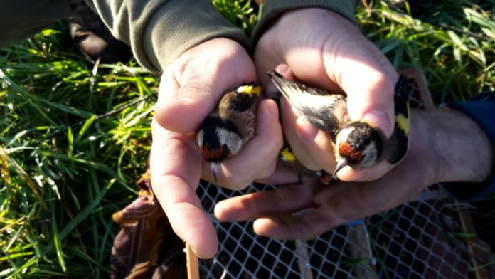 319f5fa7-54b8-4660-a7b6-2cd52d642b97