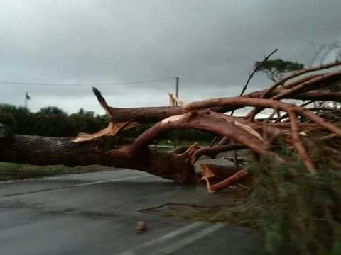 dd3b9a6f-3df4-450d-a38e-533dd7d71a4a