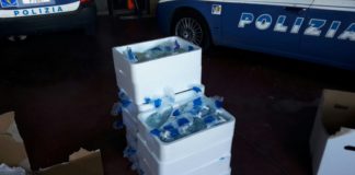 Aprilia, 2 quintali di mozzarelle e formaggi avariati: maxi sequestro della Polizia Stradale