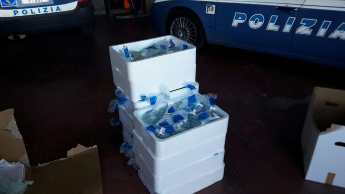 WhatsApp Image 2017-12-04 at 14.37.32