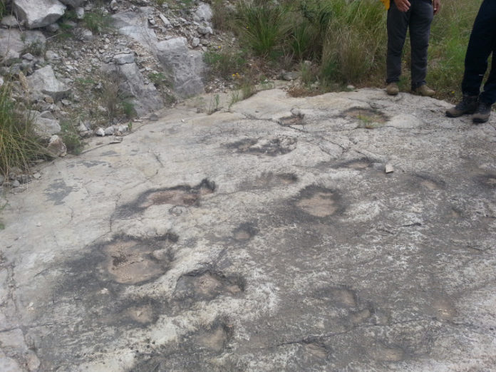 Sezze, impronte dinosauro all'ex Cava