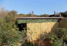 Sabaudia, abusi edilizi e rifiuti tra le dune: scattano sequestro e denuncia