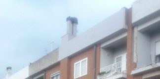 Sezze, danni del maltempo nella nottata, il Comune predispone i moduli per la richiesta di risarcimento